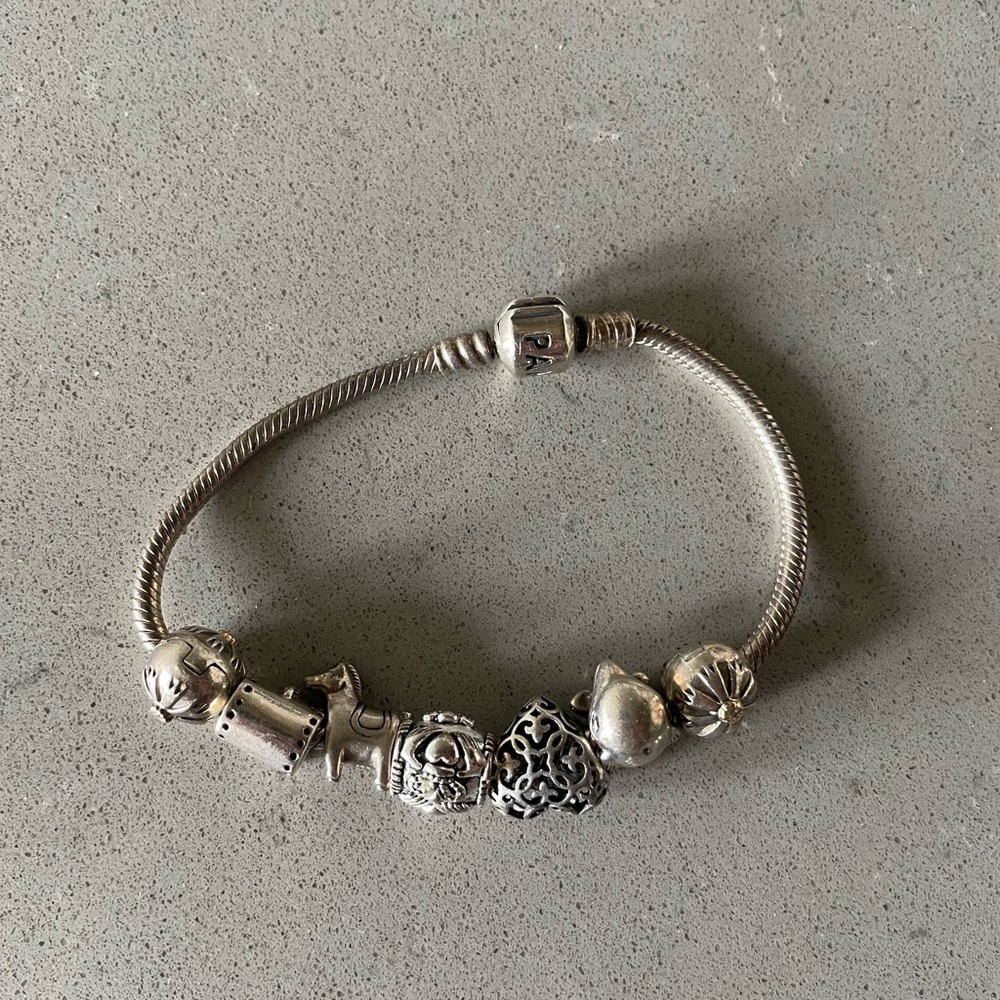 Pandora Bracelet with 7 Charms